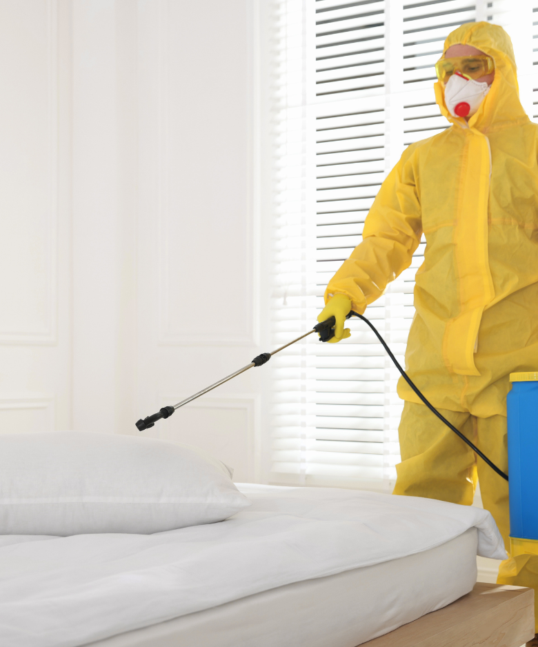 Professional Pest Control Team in Elizabeth Park